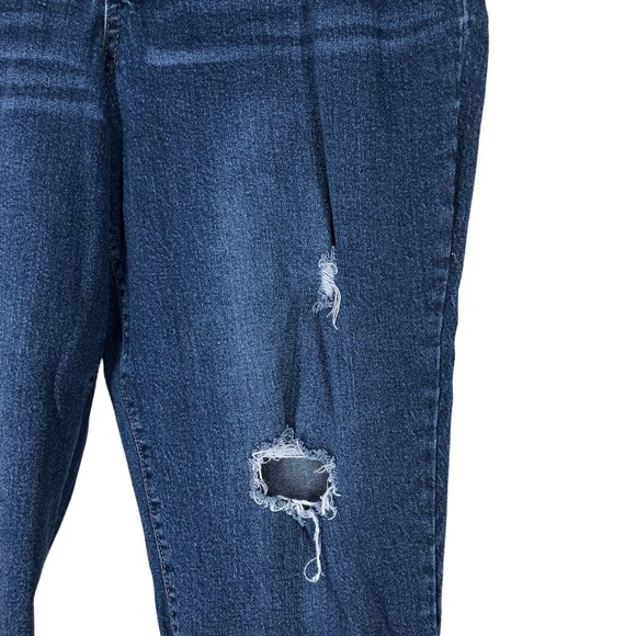 Terra & Sky Plus SZ 18 Boyfriend Jeans Distressed, Destroyed, Spandex Stretch - Picture 5 of 6